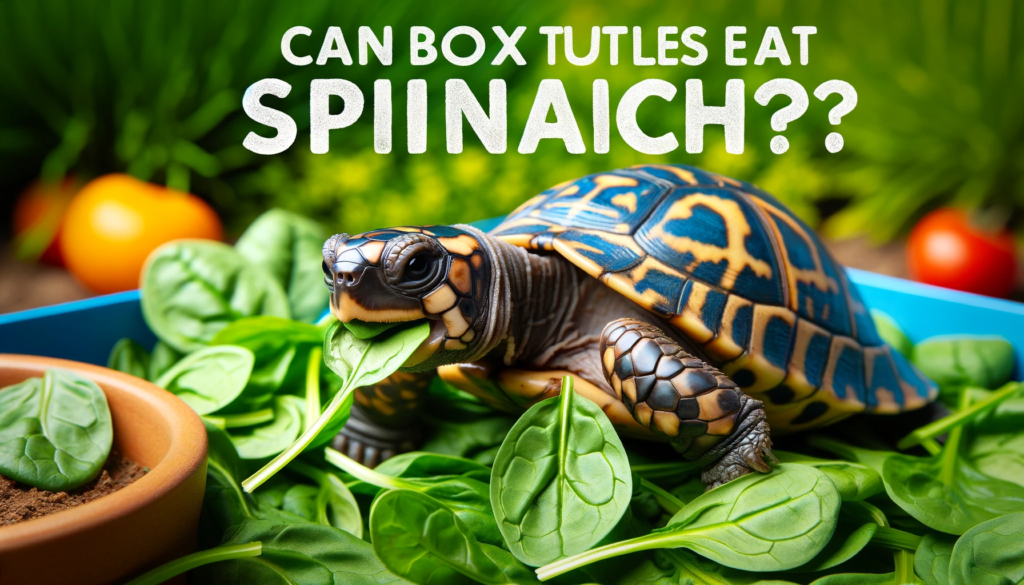 Can Box Turtles Eat Spinach