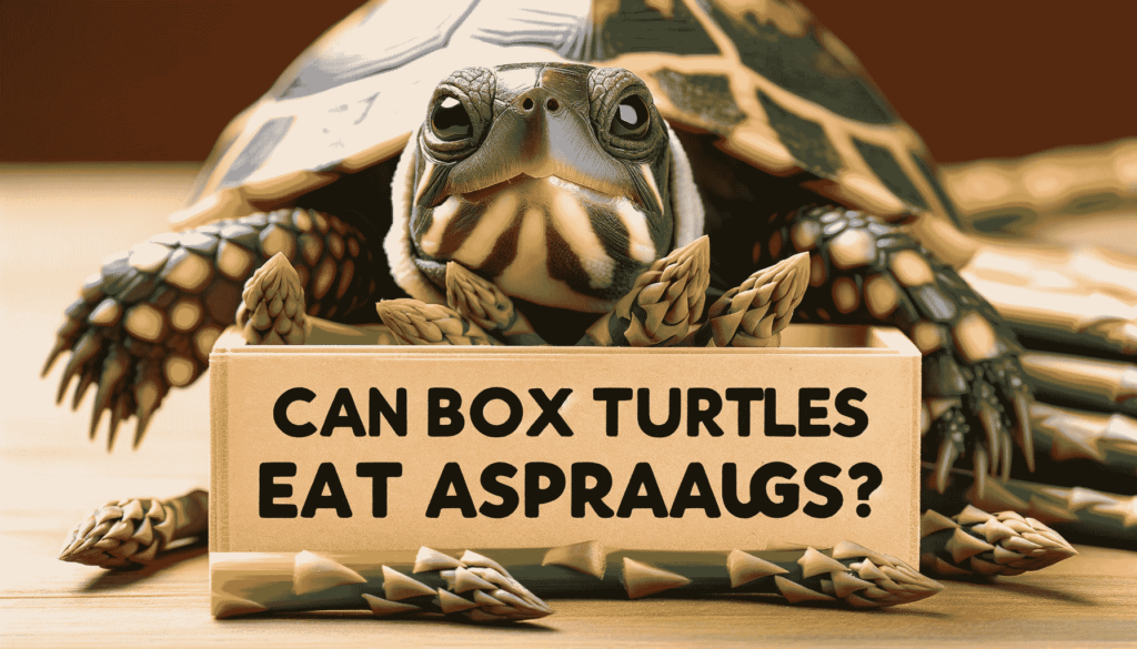 can box turtles eat asparagus