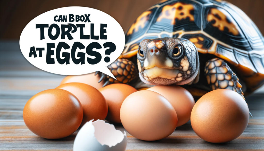 can box turtles eat eggs