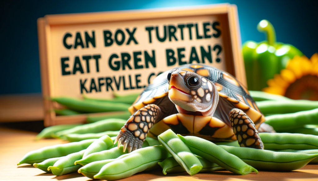 Can Box Turtles Eat Green Beans?